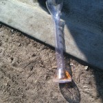 Someone didn't quite finish this yard of beer.