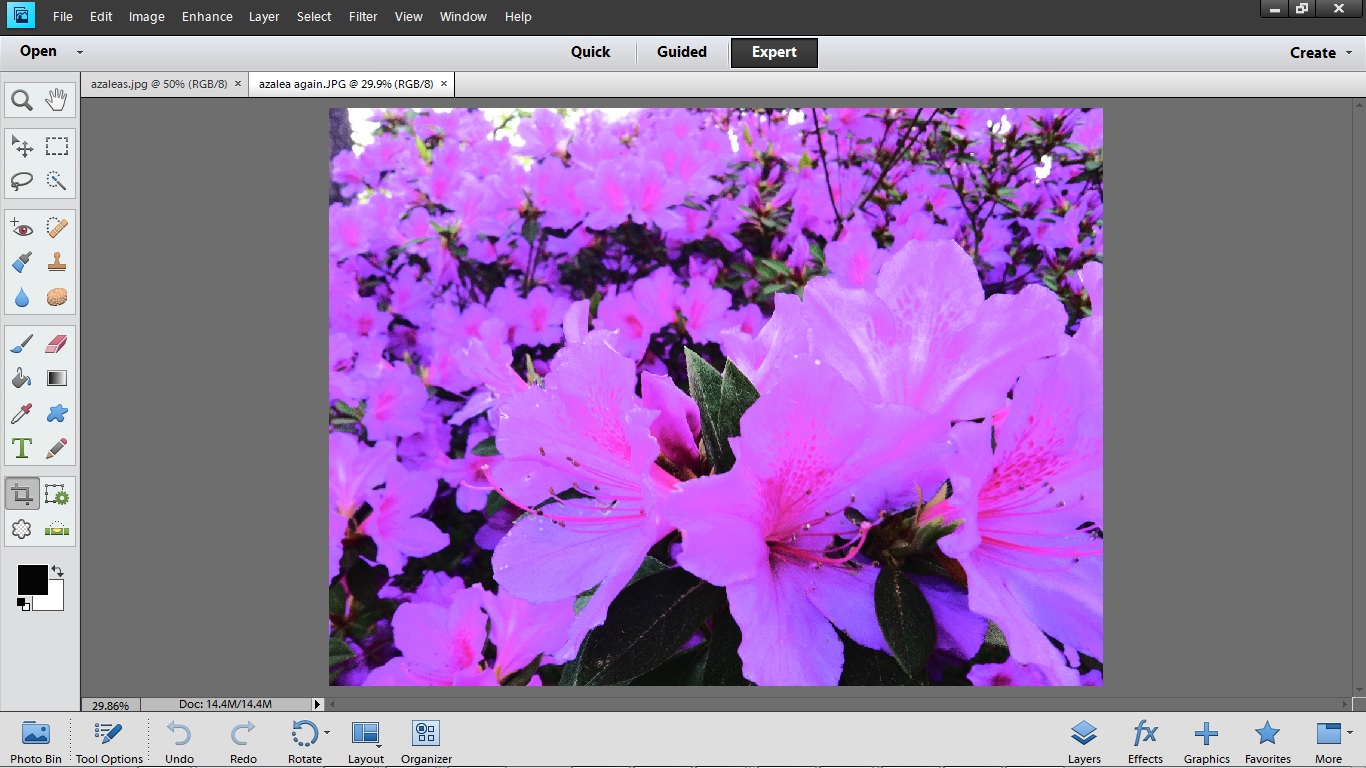 The way they looked in PhotoShop Elements.
