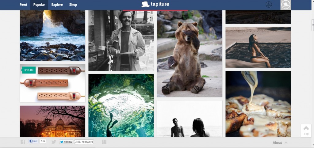 tapiture